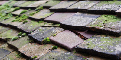 Five Ash Down roof repair costs